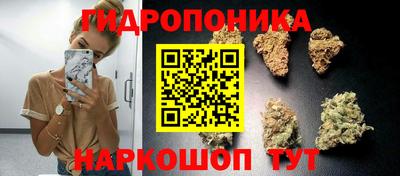 герыч Новодвинск