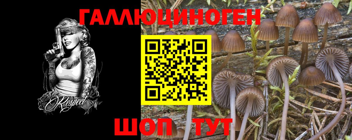 Спасск-Дальний  Псилоцибиновые грибы Cubensis  продажа наркотиков  Вход с VPN  Галлюциногенные грибы Cubensis 